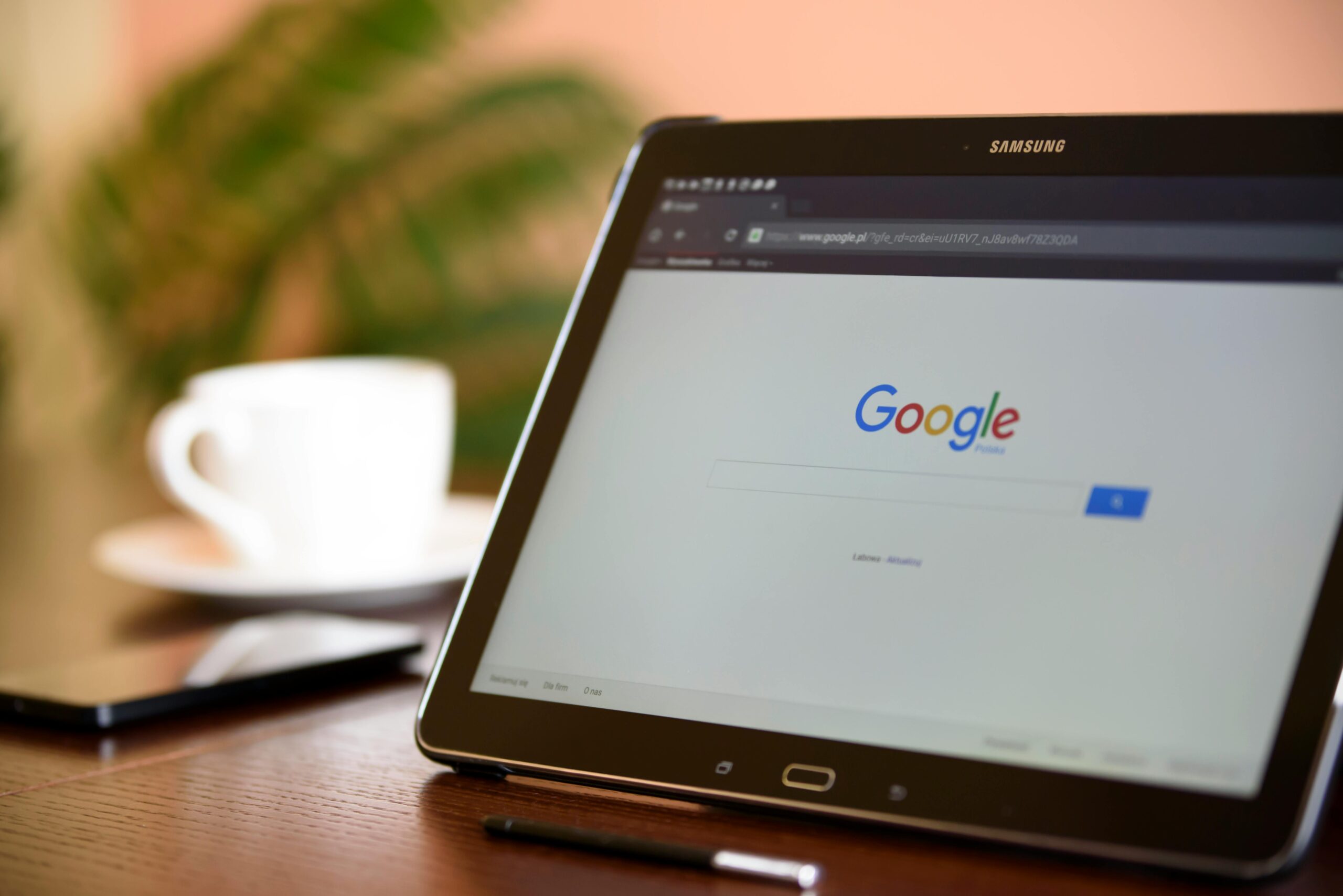Czym są i ile znaczą Twoje strony geneza Zero Click Searches