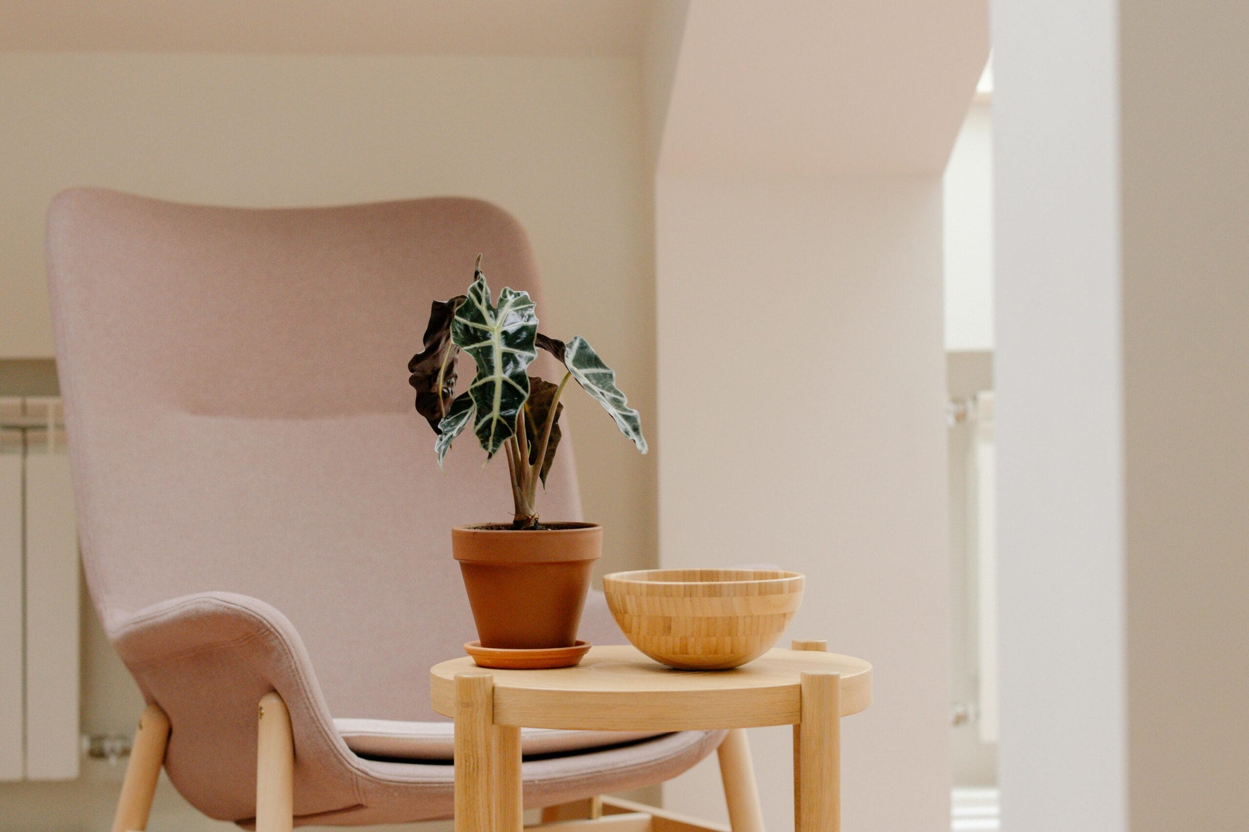 Reklama sklepu z wyposażeniem wnętrz w internecie